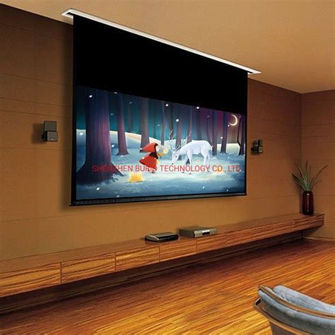 Ceiling Recessed Projection Screen Installation | Shelly Lighting