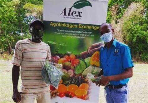 Jamaican Farmers Earn Over 300 Million Through ALEX Platform In First