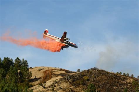 Air Tanker stock image. Image of drop, borade, trees - 21645769