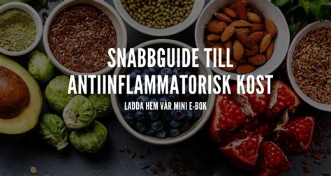 E Bok Snabbguide Till Antiinflammatorisk Kost Swedish Paleo