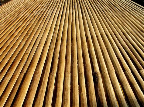 Bamboo Slats Free Photo Download | FreeImages