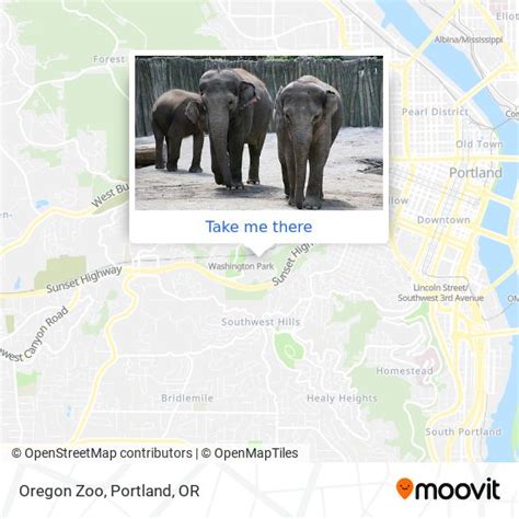 How to get to Oregon Zoo in Portland by bus or light rail?