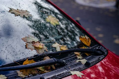 Windshield Wipers Photos, Download The BEST Free Windshield Wipers Stock Photos & HD Images