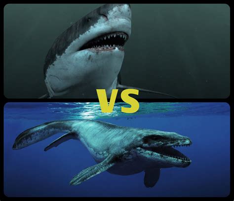 Megalodon vs Mosasaur - Off-Topic - Comic Vine