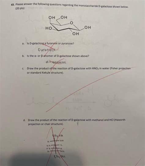 Solved Please Answer The Following Questions Regarding Chegg