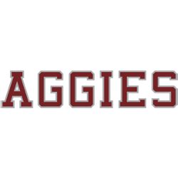 Texas A&M Aggies Wordmark Logo | SPORTS LOGO HISTORY