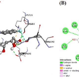 Docking Of The Atorvastatin In The Active Site Of The Hmg Coa Reductase