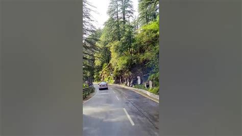 Shimla Kufri Road Drive After Rain Today Shimla To Kufri In May