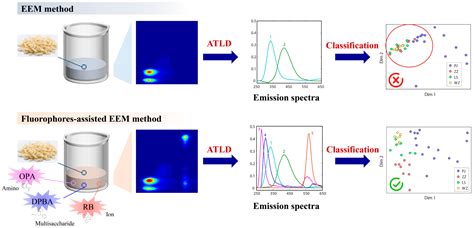 Chemosensors Free Full Text Fluorophores Assisted Excitation