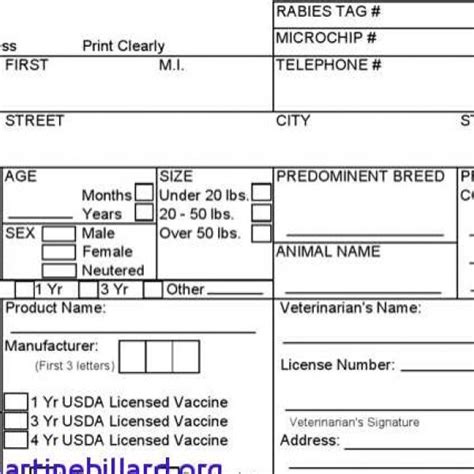 Dog Vaccination Certificate Template (2) - TEMPLATES EXAMPLE | TEMPLATES EXAMPLE