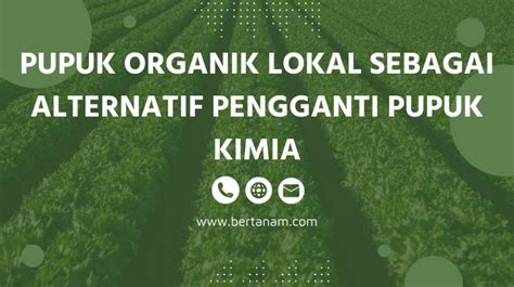 Pupuk Organik Terbaru Solusi Ramah Lingkungan Untuk Pertanian