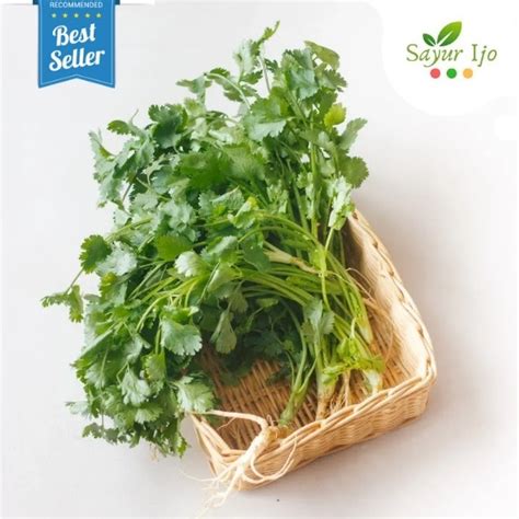 Jual Daun Ketumbar Gram Wansui Fresh Grade A Coriander Cilantro