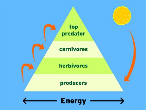 Lesson 104 Energy The Energy Matter Relationship