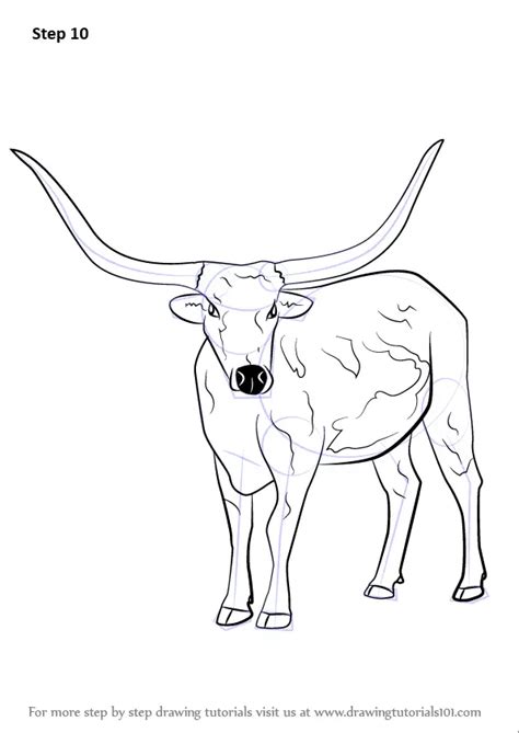 How to Draw a Longhorn Cattle (Farm Animals) Step by Step ...