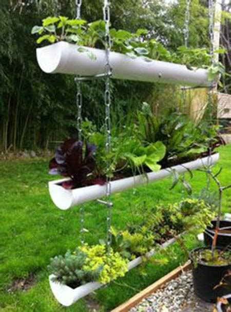 Creative Rain Gutter Planter Ideas To Spruce Up Your Garden Home And