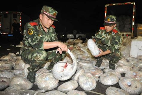 Chinese Officials Seize Nearly A Thousand Dead Pangolins