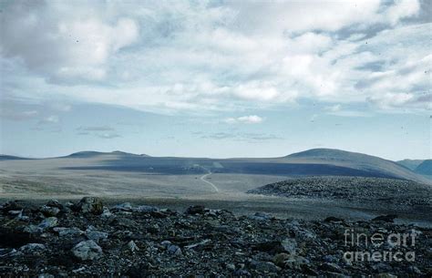 Arctic baffin island Photograph by Ted Pollard - Fine Art America