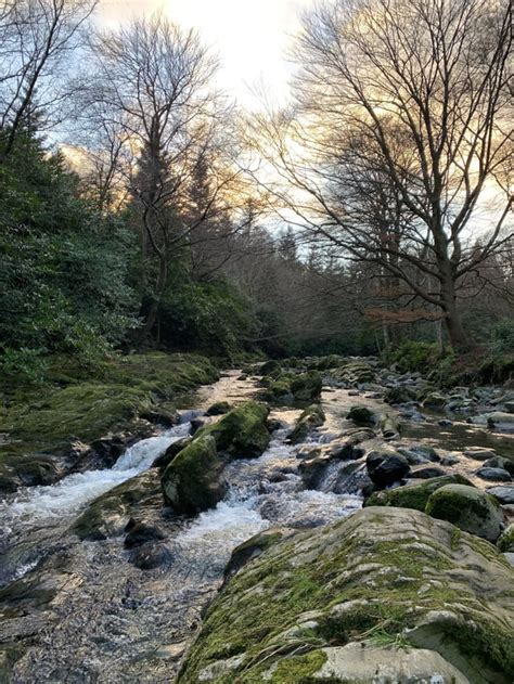 Tollymore Forest Park, Northern Ireland : r/hiking