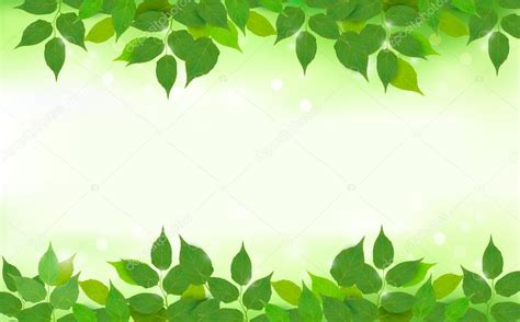 Fondo natural con hojas verdes frescas vector gráfico vectorial