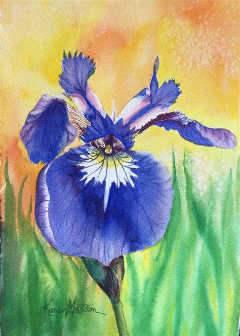 Iris Setosa Watercolor Of An Iris Growing In The Land Of The