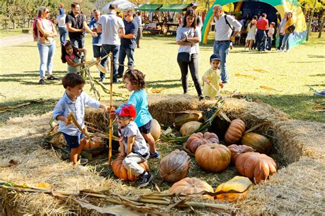 Festa do Outono em Serralves celebra a entrada na nova estação