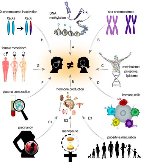 The Role Of Sex In Nanomedical Studies Statnano