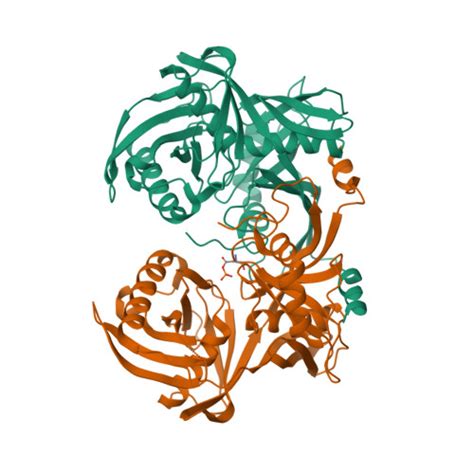 Rcsb Pdb 6r76 Crystal Structure Of Trans 3 Hydroxy L Proline Dehydratase From Thermococcus