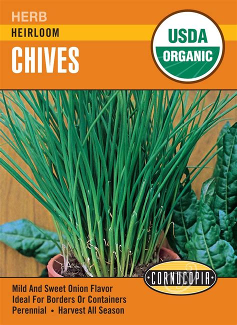 Organic Chives Cornucopia Seeds Wildwood Outdoor Living