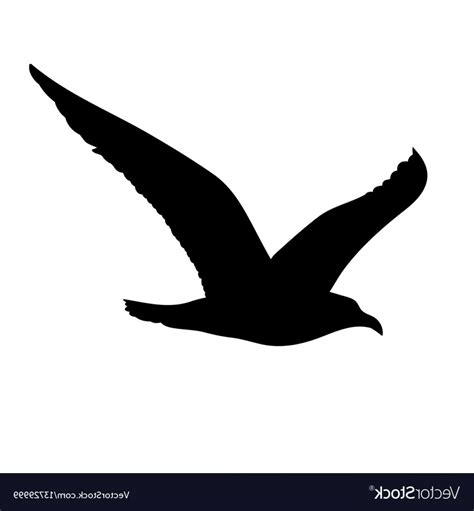 Seagull Silhouette Vector at Vectorified.com | Collection of Seagull ...