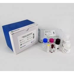 CPass SARS CoV 2 Neutralization Antibody Detection Kit CE IVD