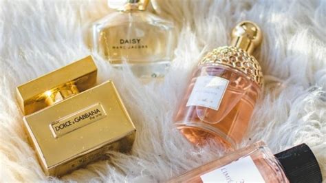 Tj Maxx Perfume Return Policy In 2024 All You Need To Know