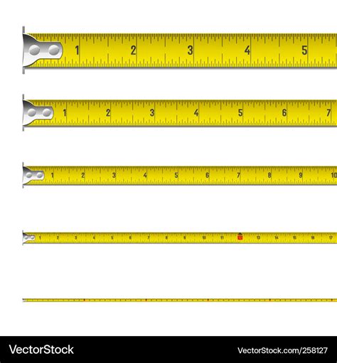 Tape measure in inches Royalty Free Vector Image