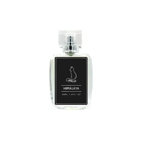 Find the Best Perfume Dupes for Luxury Fragrances | Fashionterest