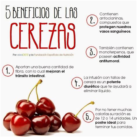 Todo Lo Que Debes Saber Sobre Los Beneficios De Las Cerezas Bienestar