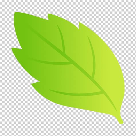 Hoja verde planta árbol logotipo flor png Klipartz