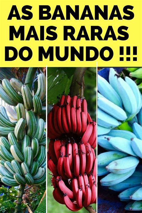 Conheça As 10 Bananas Mais Raras E IncrÍveis Do Mundo Diferentes Tipos De