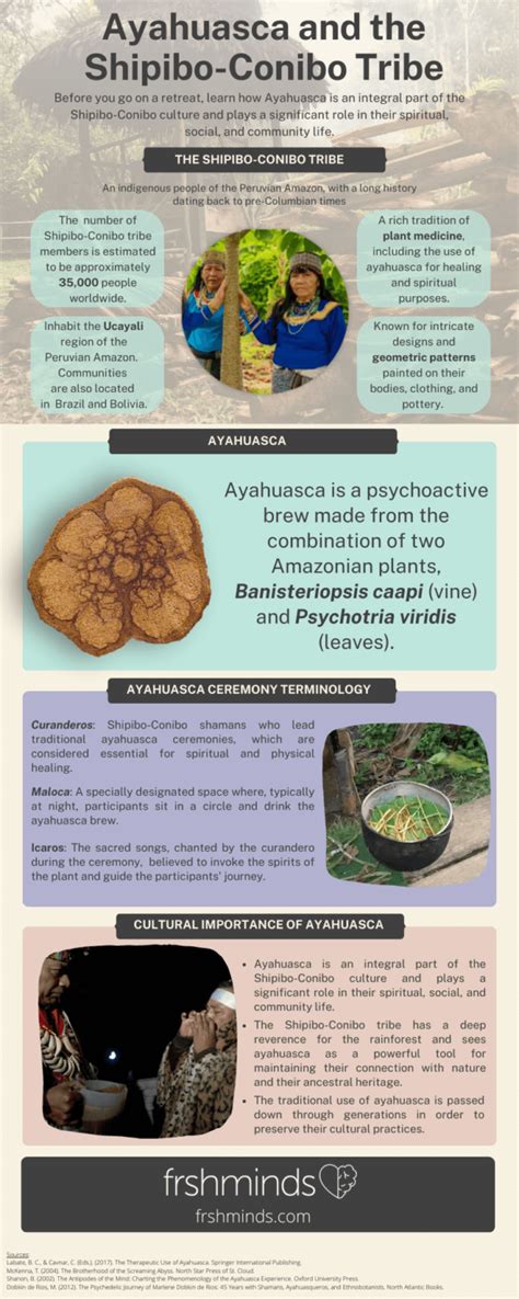 The Ultimate Ayahuasca Retreat Guide Frshminds