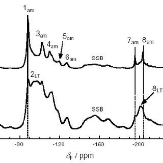 Direct Polarisation MAS Spectra Of A AR And B SC P VDF TrFE Film