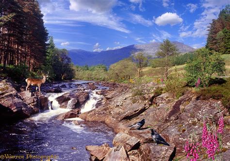 Glen Orchy Jigsaw Photo Wp05023