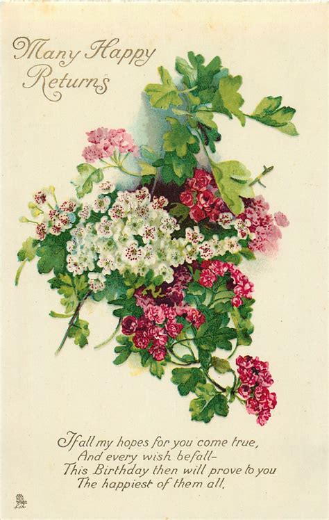 Many Happy Returns Red White Geraniums Carte Postale Ancienne Et