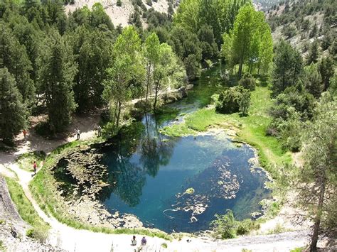 Laguna Ojo De Agua Pesca Y Caza En La Naturaleza Dia De Pesca