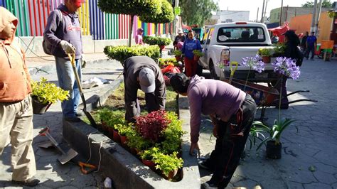 Bamba Pol Tica Aumentan Reas Verdes En Chimalhuac N