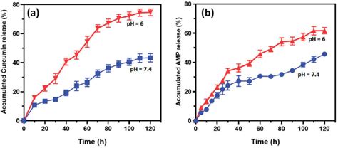 In Vitro Cumulative Ph Dependent Release Of A Curcumin And B