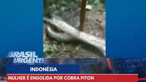 Mulher é engolida por cobra na Indonésia Brasil Urgente YouTube