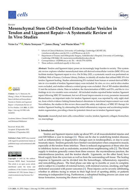 Pdf Mesenchymal Stem Cell Derived Extracellular Vesicles In Tendon