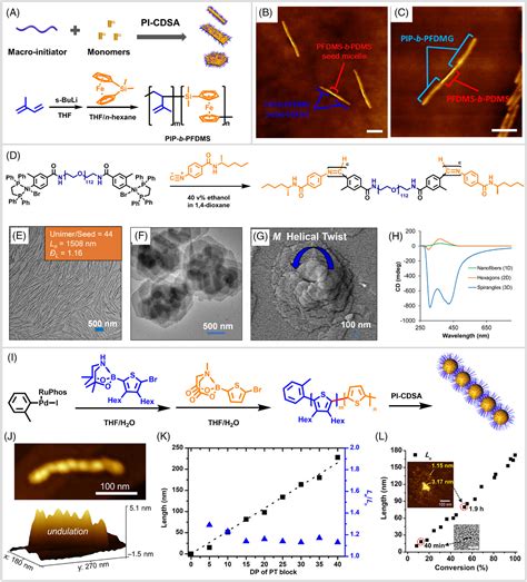 Recent Progress In Polymerizationinduced Selfassembly From The