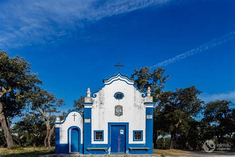 Montado de Sobro e Cortiça Roteiro no Ribatejo e Alto Alentejo