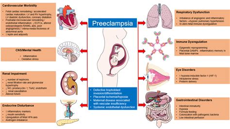 Preeclampsia Associated Morbidity In Offspring The Figure Was Partly