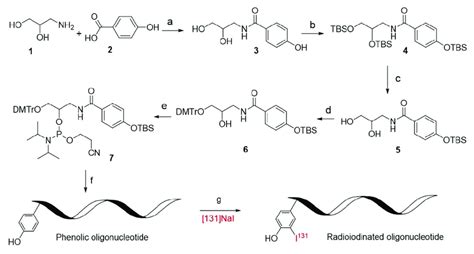 Scheme 1 Synthetic Approach To The Phosphoramidite 7 A EDC HCl