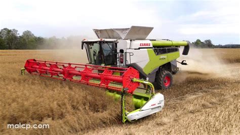 K Harvest Claas Lexion Tt Cutting Osr On An Overcast